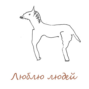 лошадка а278